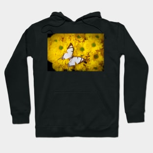 White Exotic Butterfly On Yellow Poms Hoodie